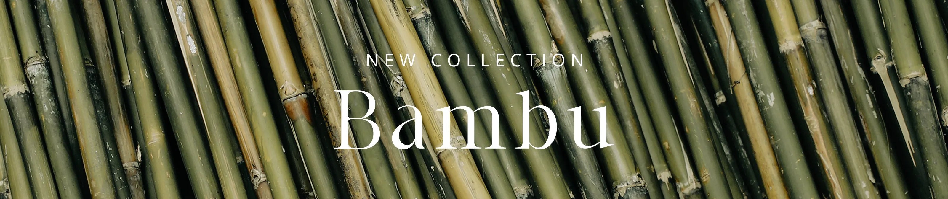 Coleção Bambu