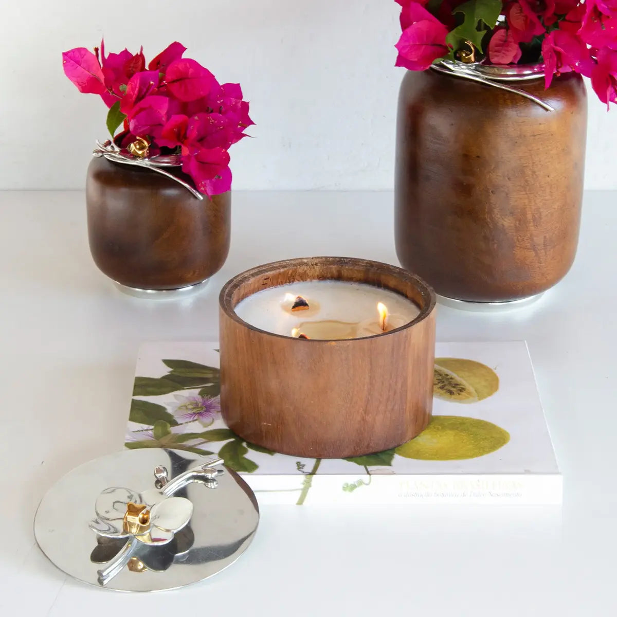 Vela Maior Orquídea
