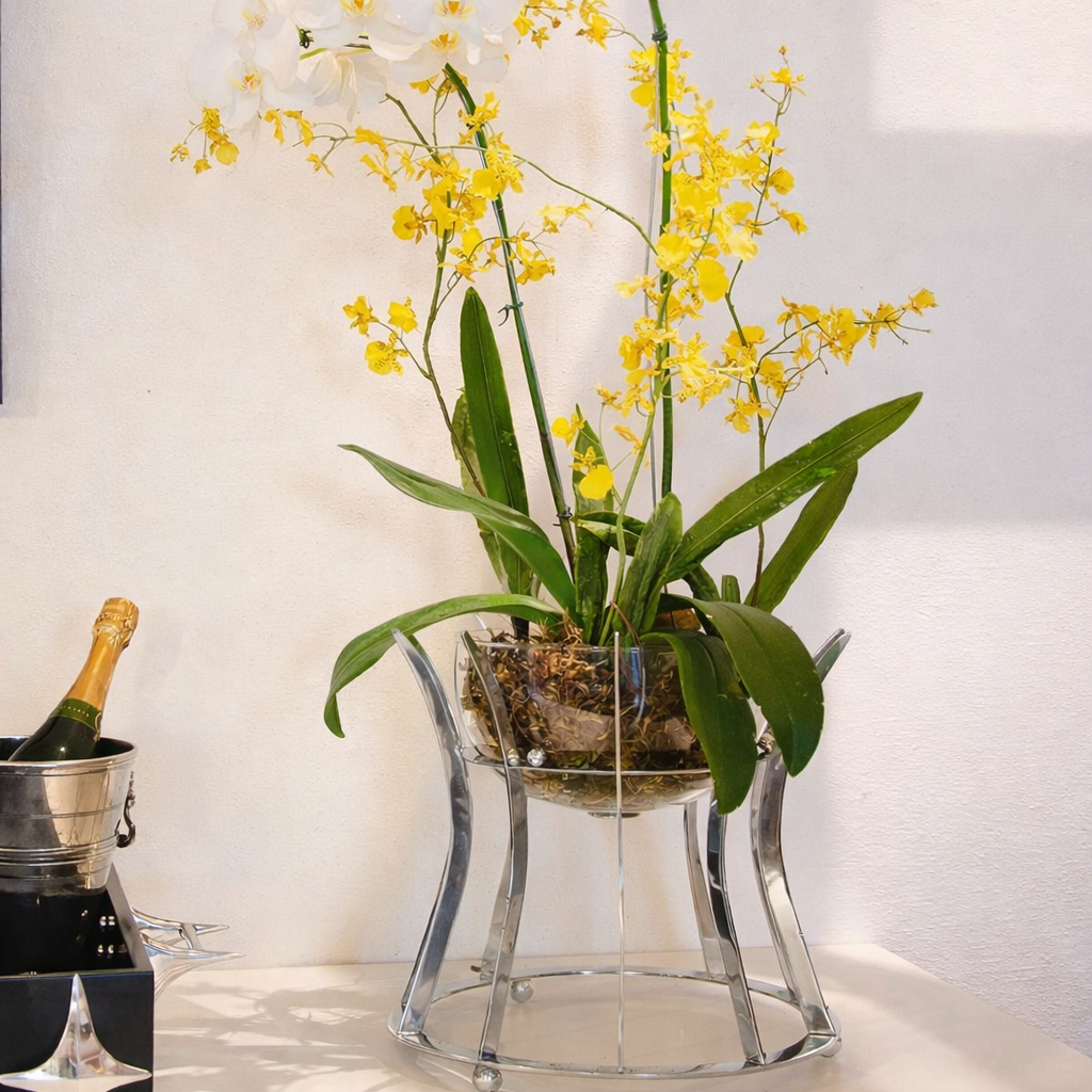 Centro de Mesa Brasília Grande