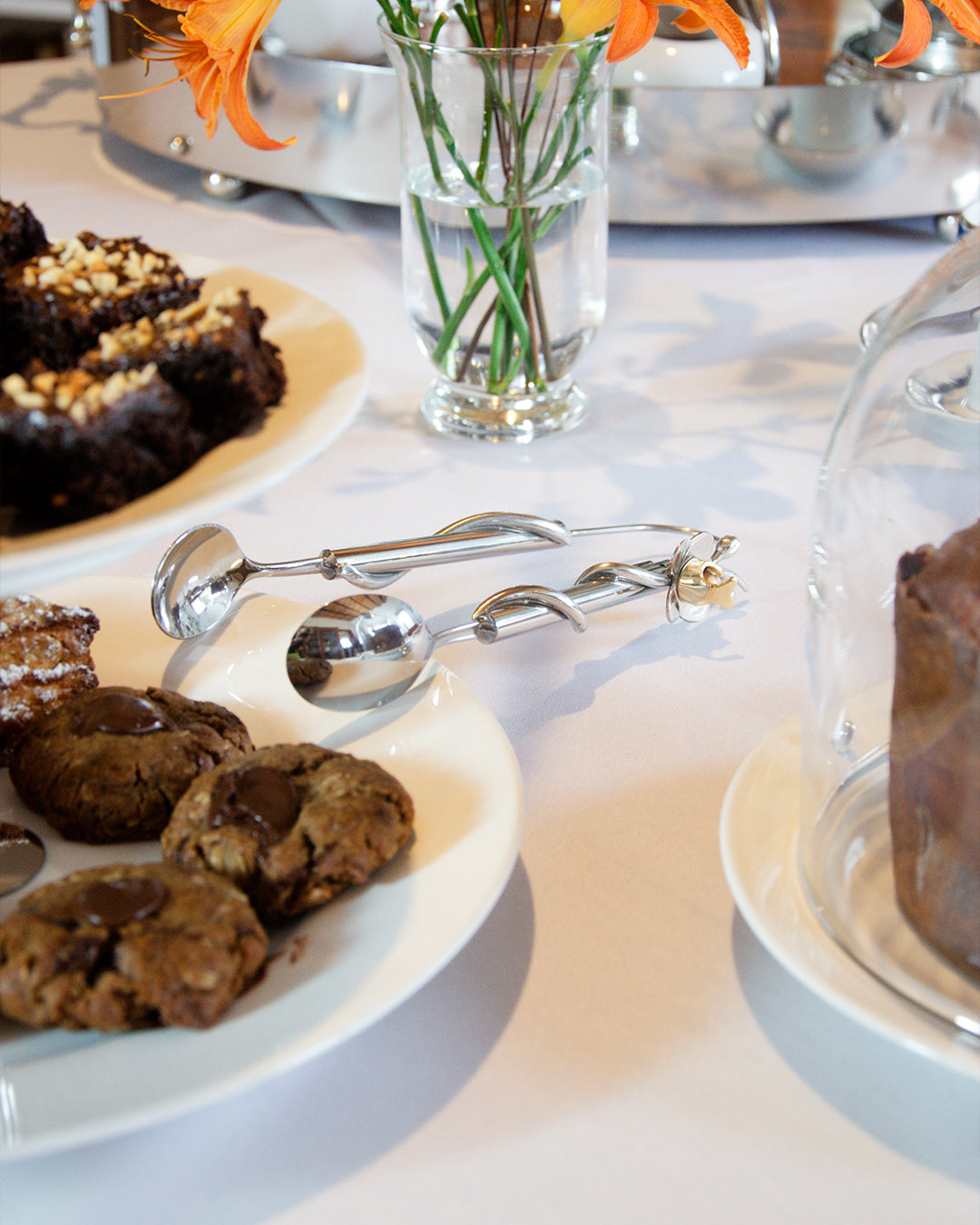 Pegador Menor Orquídea